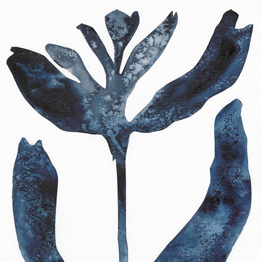 Salty Flower - Framed