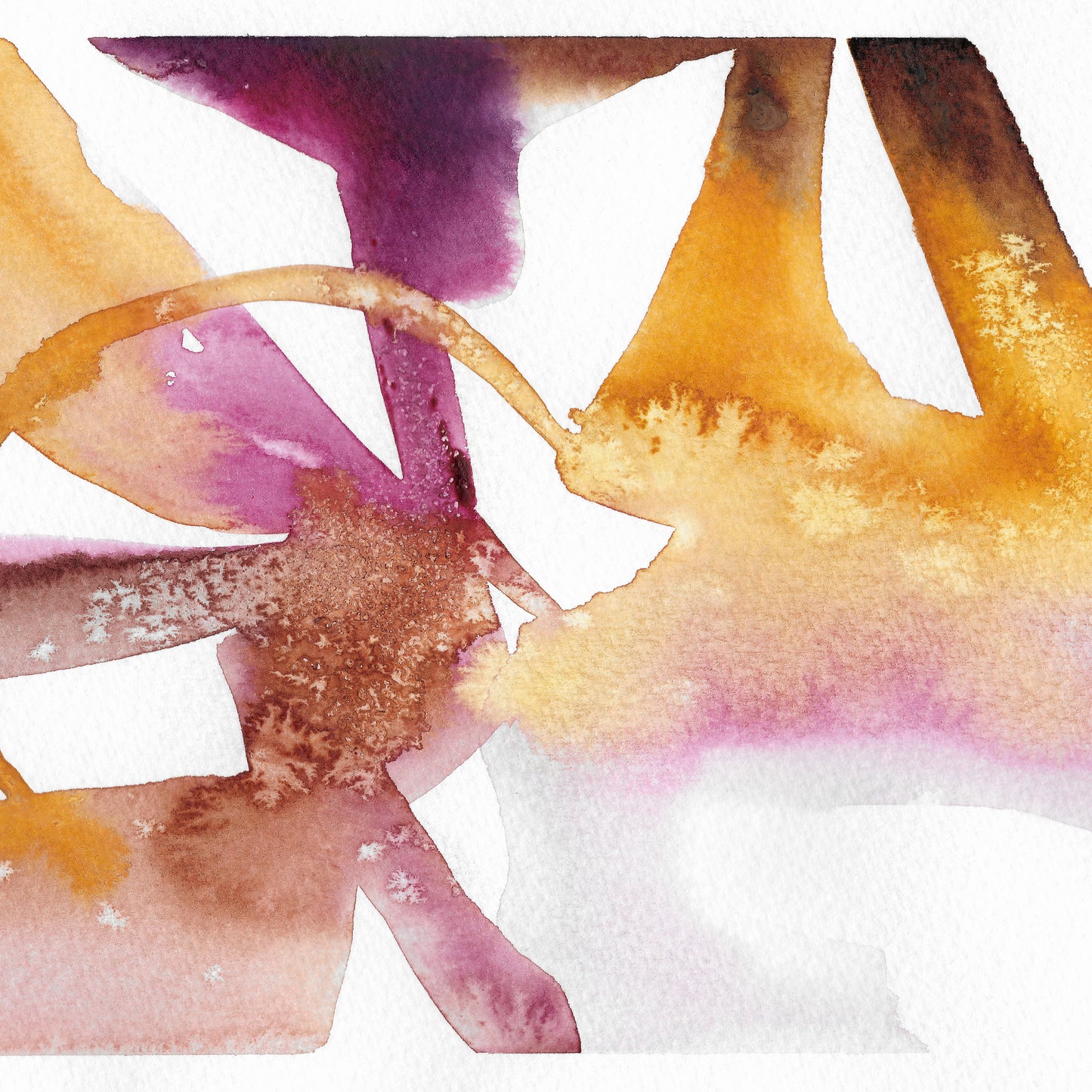 Spring is here - Framed