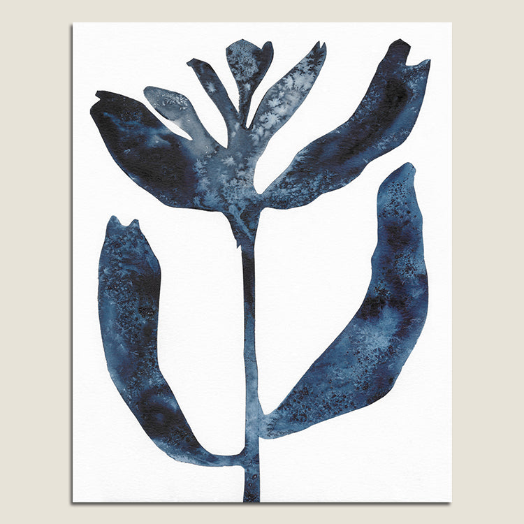 Salty Flower - Framed