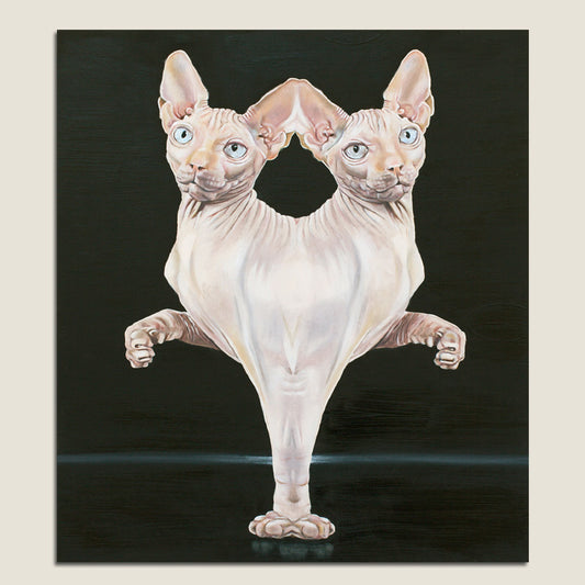 Parapagus Cat I