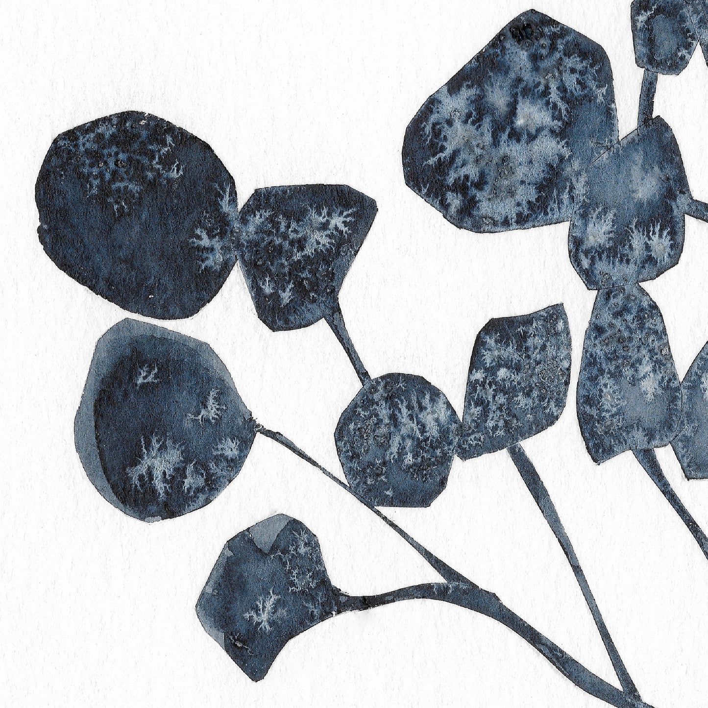 Blue Blossom