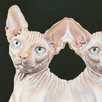 Parapagus Cat I